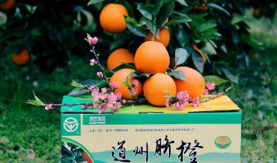 中国最好吃的橙子排名产地 全国哪里的橙子好吃最出名