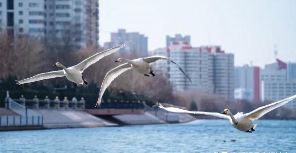 中国十大最美公路排行榜
