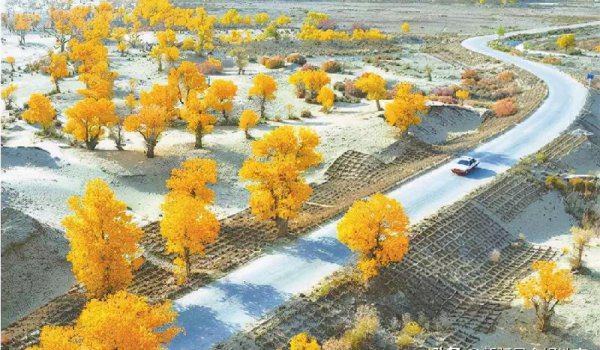 中国十大最美公路排行榜