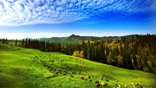 中国十大最美公路排行榜