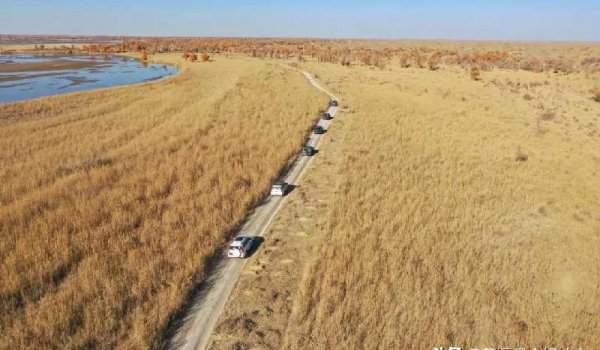 中国十大最美公路排行榜