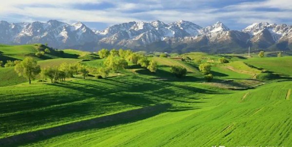 中国十大最美公路排行榜