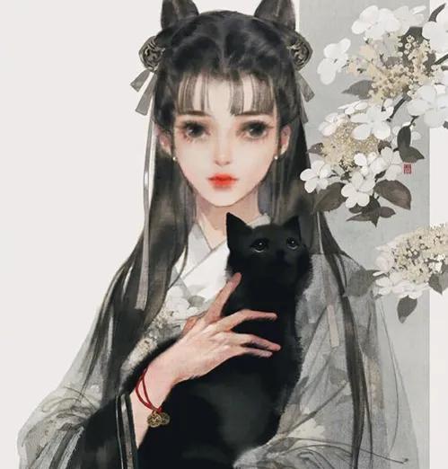 小说柔福帝姬讲的是什么