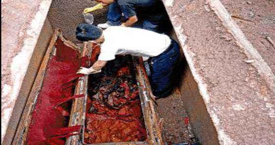 清东陵定陵是谁的陵墓