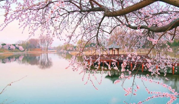 意境最美的宋词有哪些