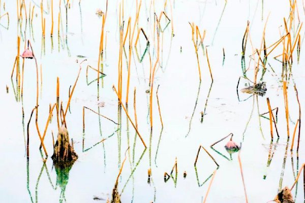 意境最美的宋词有哪些