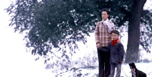 孙少平最后和谁在一起了