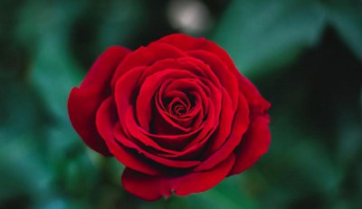 男生默默喜欢女生表现 暗恋一个人但是不表白的表现