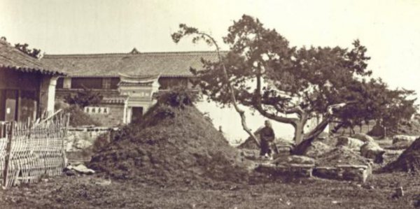 末代皇后婉容的一生经历介绍