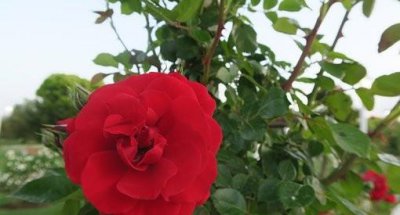 人生感悟精辟短语大全 句句精辟 句句穿透人心