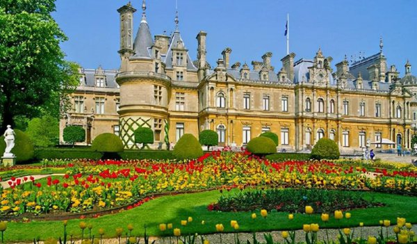 世界最富有的家族排名第一