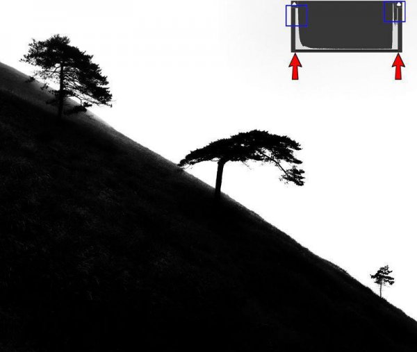 摄影影调分为哪几种