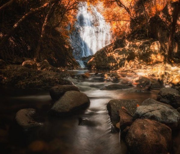 摄影影调分为哪几种