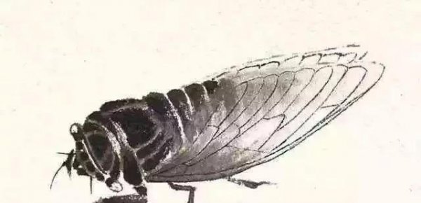 金蝉子真身是什么东西