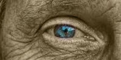 中国长寿老人李庆远真的活了256岁吗