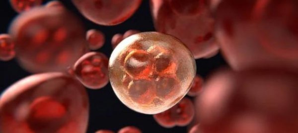 中国长寿老人李庆远真的活了256岁吗