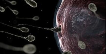 中国长寿老人李庆远真的活了256岁吗