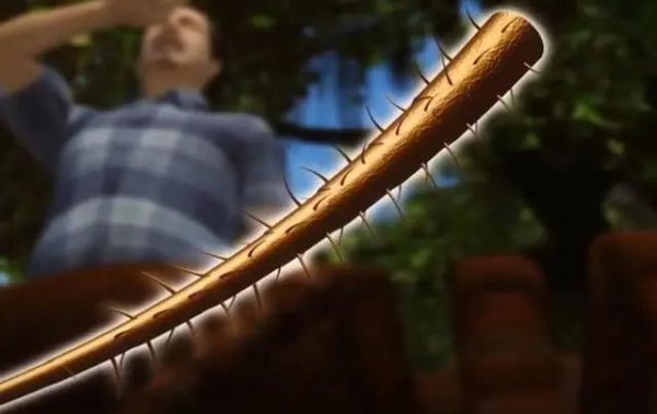 世界上最大的蜘蛛叫什么名字