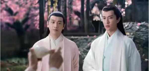 侧妃是娶还是纳