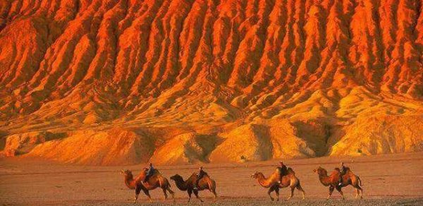 世界上最低的盆地是哪里