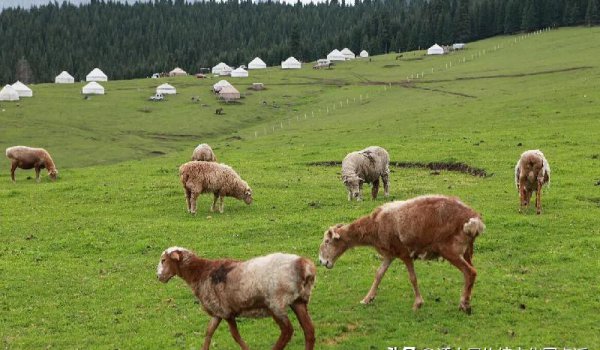 世界上最低的盆地是哪里