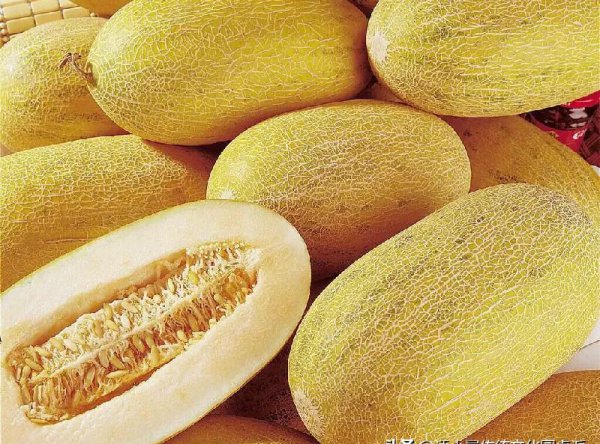 世界上最低的盆地是哪里