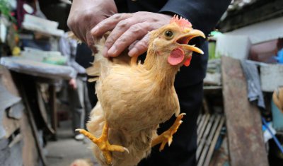 三天回门男方准备什么东西 女方回门男方需要准备什么