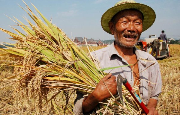 古代中进士难还是考清华难