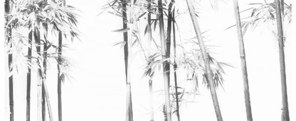 万历十五年告诉我们什么道理