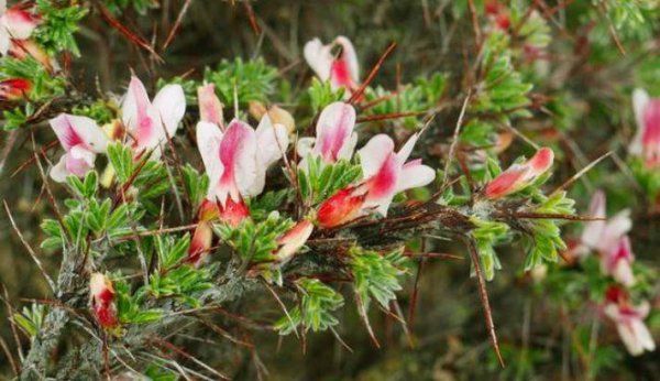 紫禁城到底有多恐怖