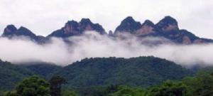 何辅堂原型人物简介