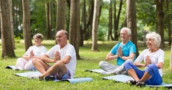 运动和不运动哪个寿命长