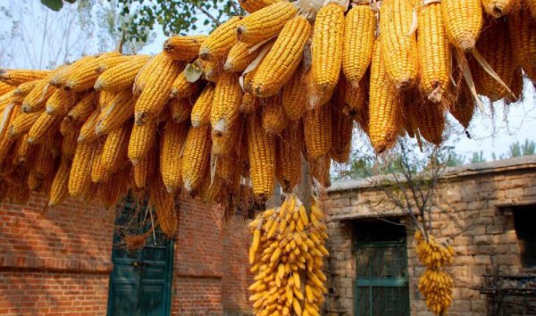 现在做什么最赚钱而且稳定