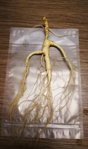 新鲜人参泡酒的最佳配方