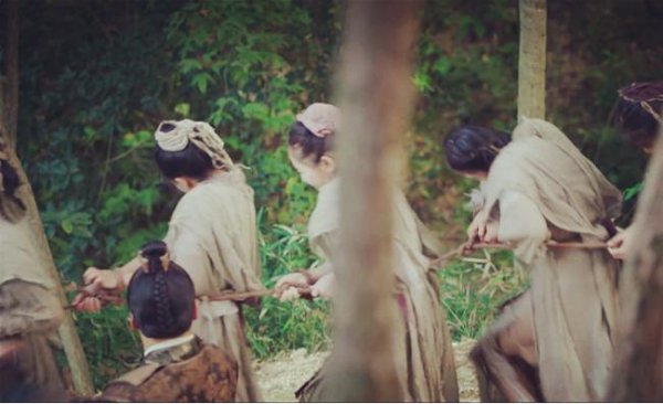 诛杀9族是哪9族