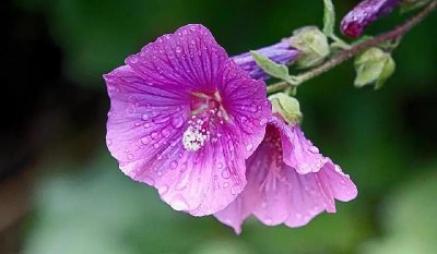 为什么夫妻五十岁容易没感情 中年夫妻没感情了怎么办