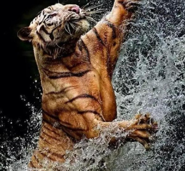 武松打虎是真的吗