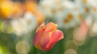 男人总是忍不住想触碰你 男人故意动手动脚试探你