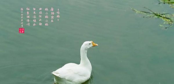 武则天看了骆宾王的檄文反应