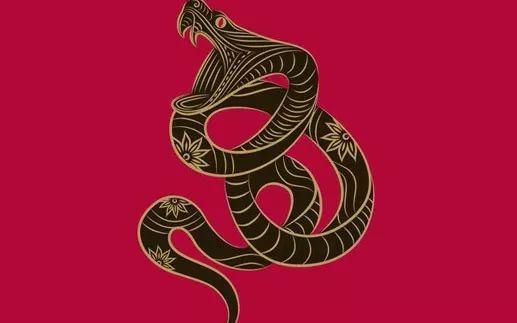 哪四大属相是帝王属相