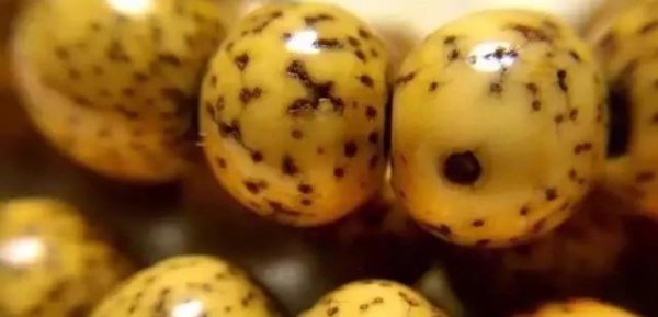 什么手串值得盘玩一生