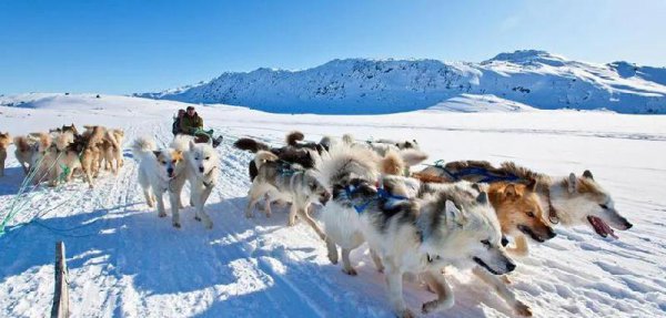 世界上最大的岛屿