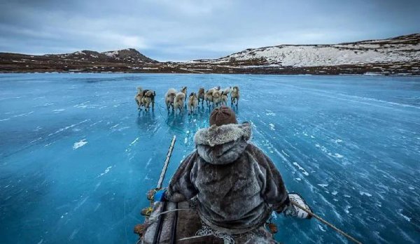 世界上最大的岛屿