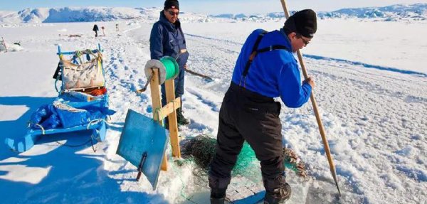 世界上最大的岛屿