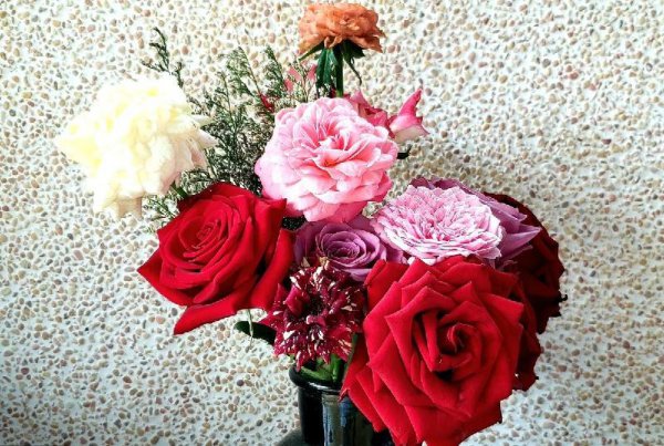 男生说喜欢你如何高情商回复