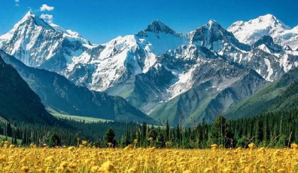 新疆以前是哪个国家的领土