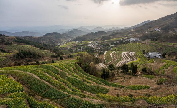 关中地区指的是哪里