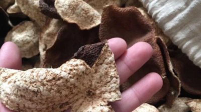 陈皮怎么制作最好 陈皮是怎么制作出来的