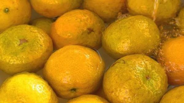 陈皮怎么制作最好