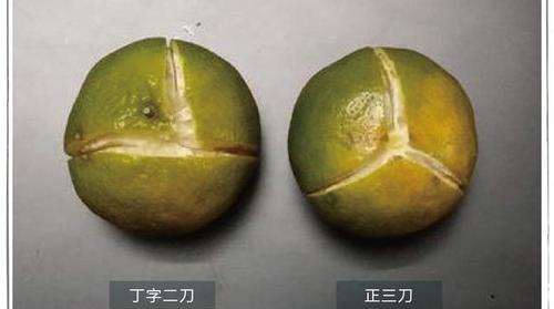 陈皮怎么制作最好